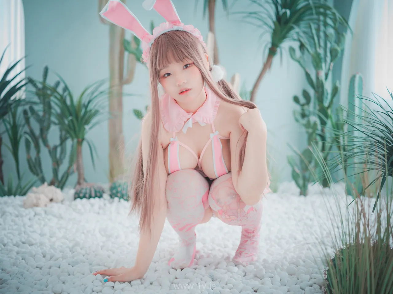Mimmi NO.15 [DJAWA] March Hare